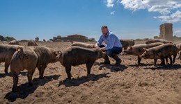 Top London chefs discover the true taste of British pork